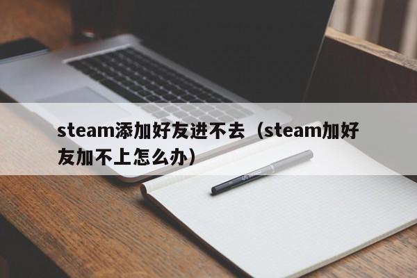 steam添加好友进不去（steam加好友加不上怎么办）