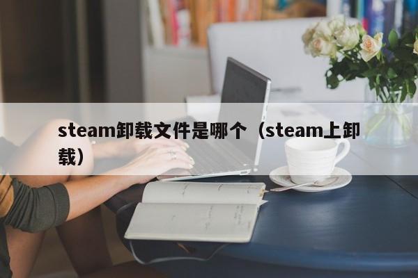steam卸载文件是哪个（steam上卸载）