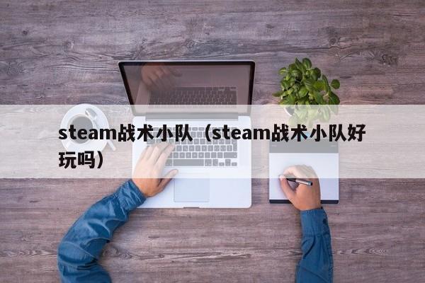 steam战术小队（steam战术小队好玩吗）