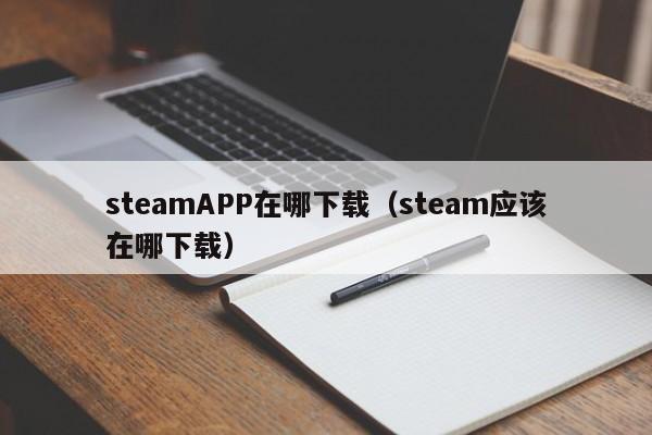steamAPP在哪下载(steam应该在哪下载)