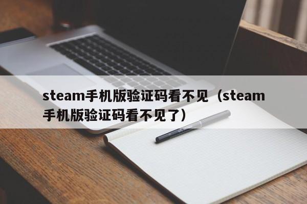 steam手机版验证码看不见（steam手机版验证码看不见了）