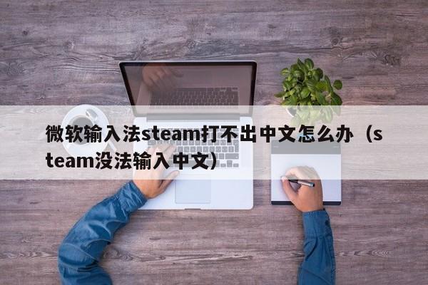 微软输入法steam打不出中文怎么办（steam没法输入中文）