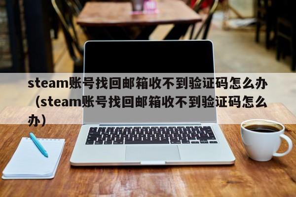 steam账号找回邮箱收不到验证码怎么办（steam账号找回邮箱收不到验证码怎么办）