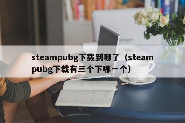 steampubg下载到哪了（steampubg下载有三个下哪一个）