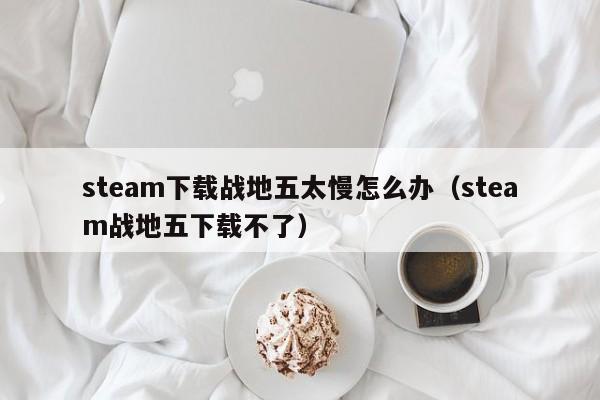 steam下载战地五太慢怎么办（steam战地五下载不了）