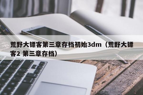 荒野大镖客第三章存档初始3dm（荒野大镖客2 第三章存档）