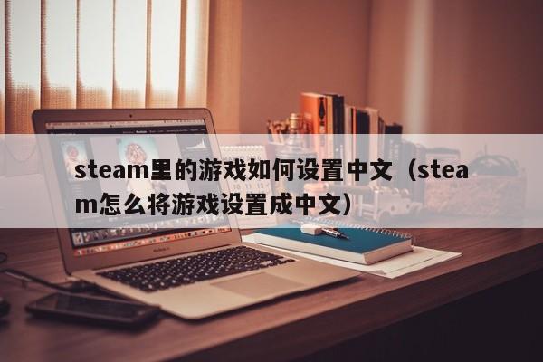steam里的游戏如何设置中文（steam怎么将游戏设置成中文）