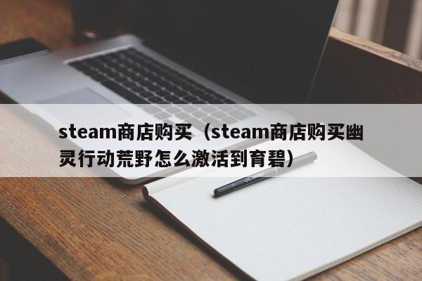 steam商店购买（steam商店购买幽灵行动荒野怎么激活到育碧）