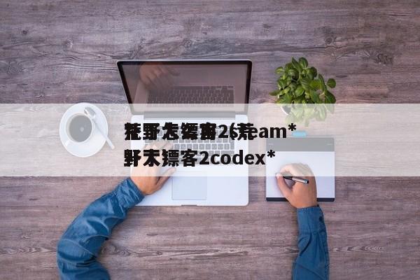 荒野大镖客2steam*补丁怎么用（荒野大镖客2codex*补丁）