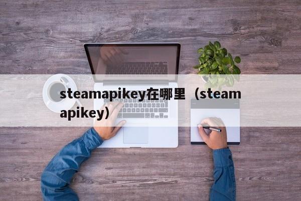 steamapikey在哪里（steamapikey）