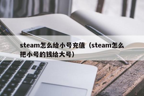 steam怎么给小号充值（steam怎么把小号的钱给大号）