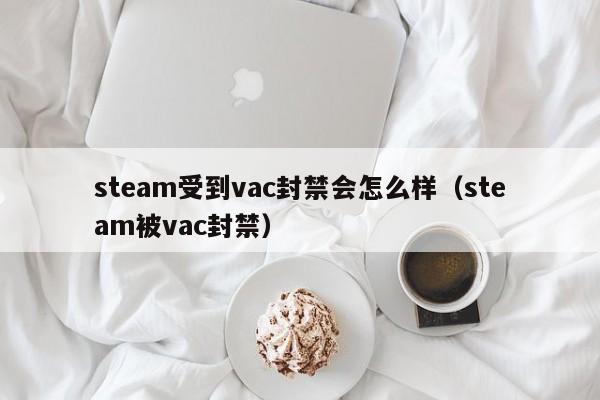steam受到vac封禁会怎么样（steam被vac封禁）
